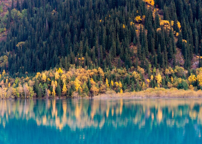 🌄 Тургеньское ущелье, Национальный парк Иле Алатау